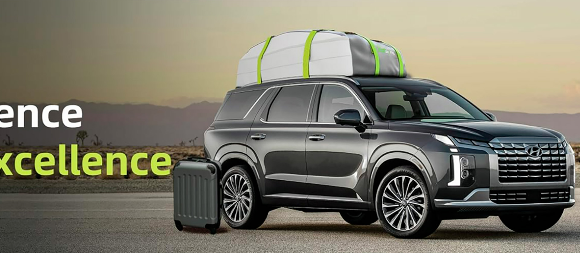 Elite version RoofTop Cargo Bag